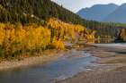 Autumn color along the Flathead River at Bad Rock Canyon in Hungry Horse, Montana, USA Art Print